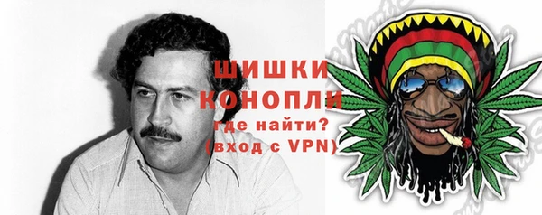 эйфоретик Каменка