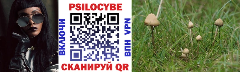 где продают   Ладушкин  MEGA сайт  Псилоцибиновые грибы Psilocybine cubensis 